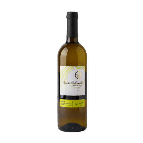 Sofia Cremonesi - 121 Verdea